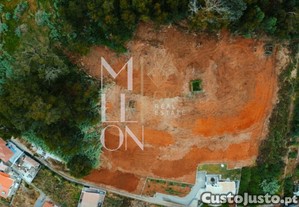 Oportunidade nica na Ponta do Sol   Terreno com 6.000m e Vista Mar de Encantar