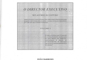 O Director Executivo   Relatório do Estudo   Volume I