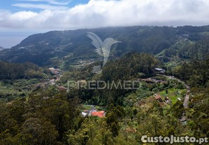 imagem_11
