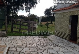 imagem_20