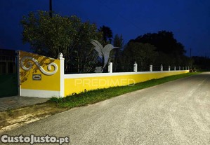imagem_22