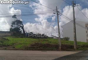 imagem_6