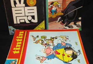 Livros BD Tintin Revista dos Jovens 9º ano Complet