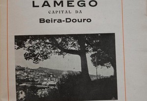 Lamego. Capital da Beira Douro. 1931