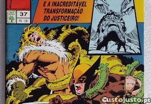 imagem_8