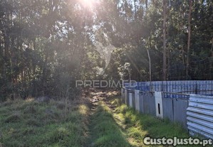 imagem_12