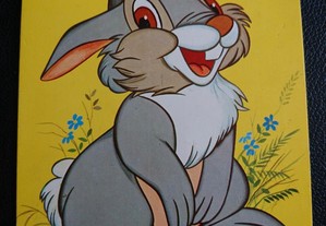 imagem_5
