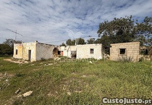 imagem_13