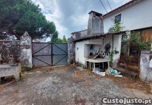 imagem_7