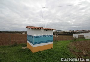 imagem_5