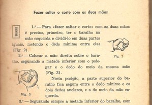 imagem_5