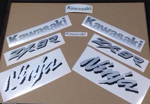 Autocolantes em vinil para Kawasaki ZX 9 R Ninja