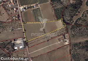 Terreno rústico em pernes   santarém | 27 440,00 m²