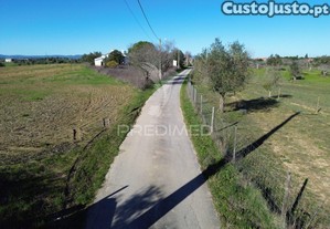 imagem_20
