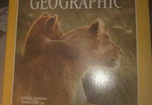 coleccao revistas national geografic anos 80 a 2000