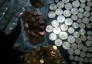imagem_8