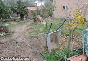imagem_7