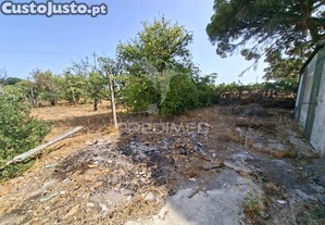 imagem_15