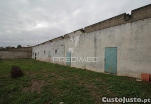 imagem_6