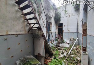imagem_11