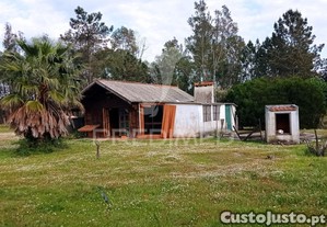 imagem_23