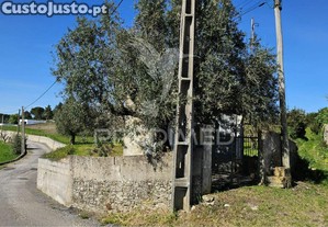 imagem_20