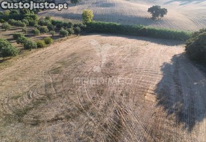 Terreno rústico em nabais   santarém | 10.800 m²