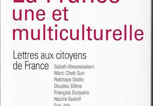 Edgar Morin, Patrick Singainy (e outros): La France une et multiculturelle. Letres aux citoyens de France.