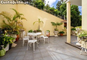 imagem_7