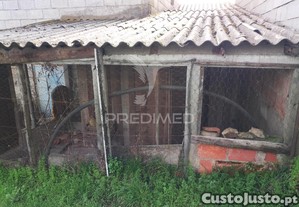 imagem_8