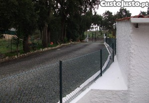 imagem_9