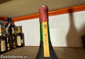 imagem_5