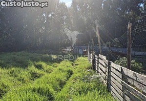 imagem_10