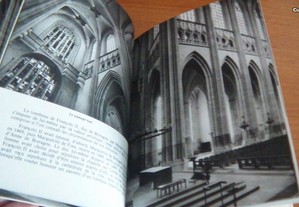 imagem_3