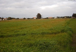 Terreno em Salvaterra de Magos (S302)