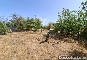 imagem_11