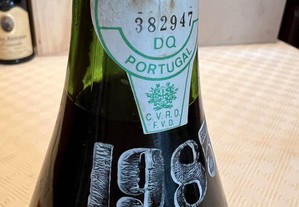 imagem_4