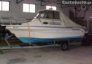imagem_4