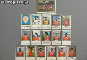 imagem_2