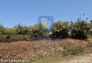 imagem_21