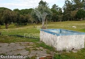 imagem_24