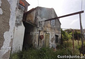 imagem_22