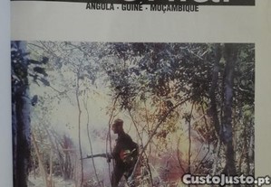 imagem_2