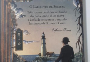 imagem_8