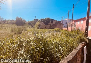 imagem_14
