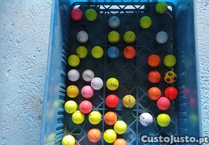 imagem_1