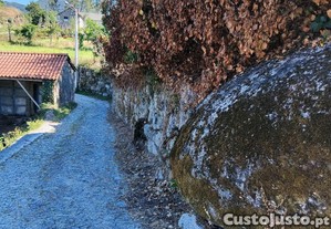 imagem_10