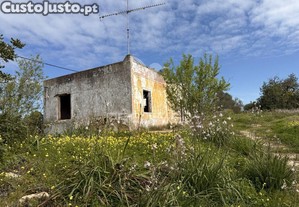 imagem_10