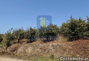 imagem_24