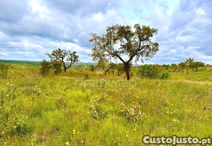 imagem_28